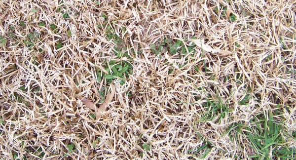 Pure-Green-blog-header_high-temps-(1).png Pure-Green-blog-header_high-temps-(1).png